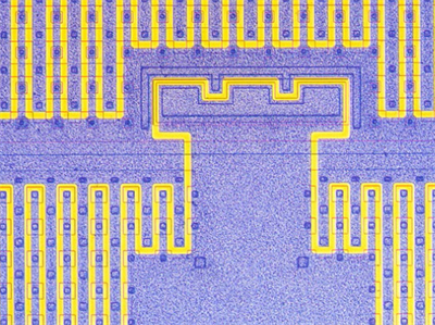 電子芯片，反射，明場