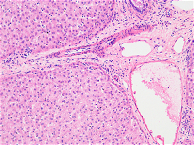 DAPI_0328_141927
