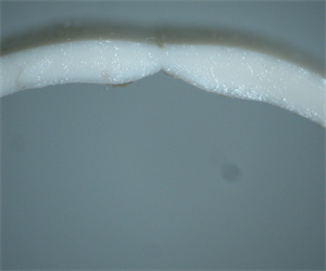 微信圖片_202204081426373