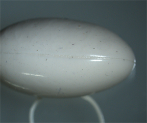 微信圖片_202204081426374