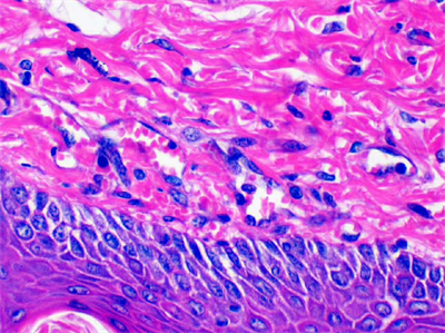 微信圖片_20200708000125