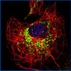 高信噪比、高分辨率圖像(2)