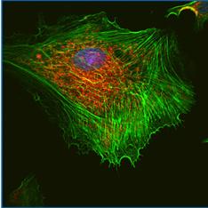 高信噪比、高分辨率圖像(3)