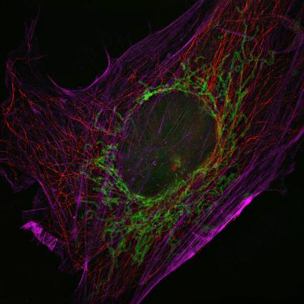 NCF1000 樣品效果圖 (1)