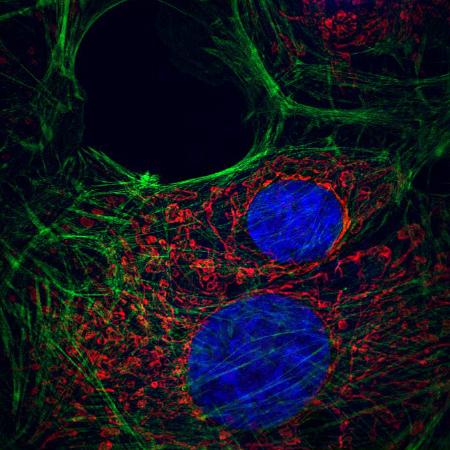 NCF1000 樣品效果圖 (2)