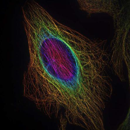 NCF1000 樣品效果圖 (3)
